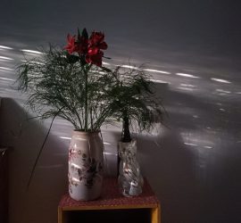 Jeu d'ombres et de lumières sur un bouquet de fleurs.