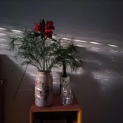 Jeu d'ombres et de lumières sur un bouquet de fleurs.